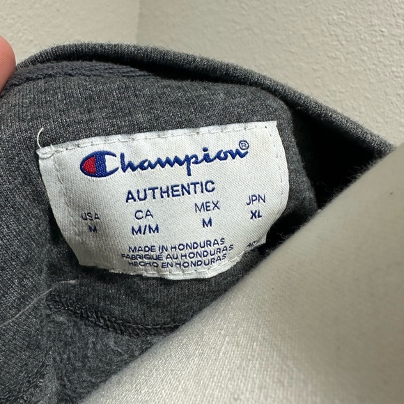 Grey Champion Seeater - Picture 2 of 2